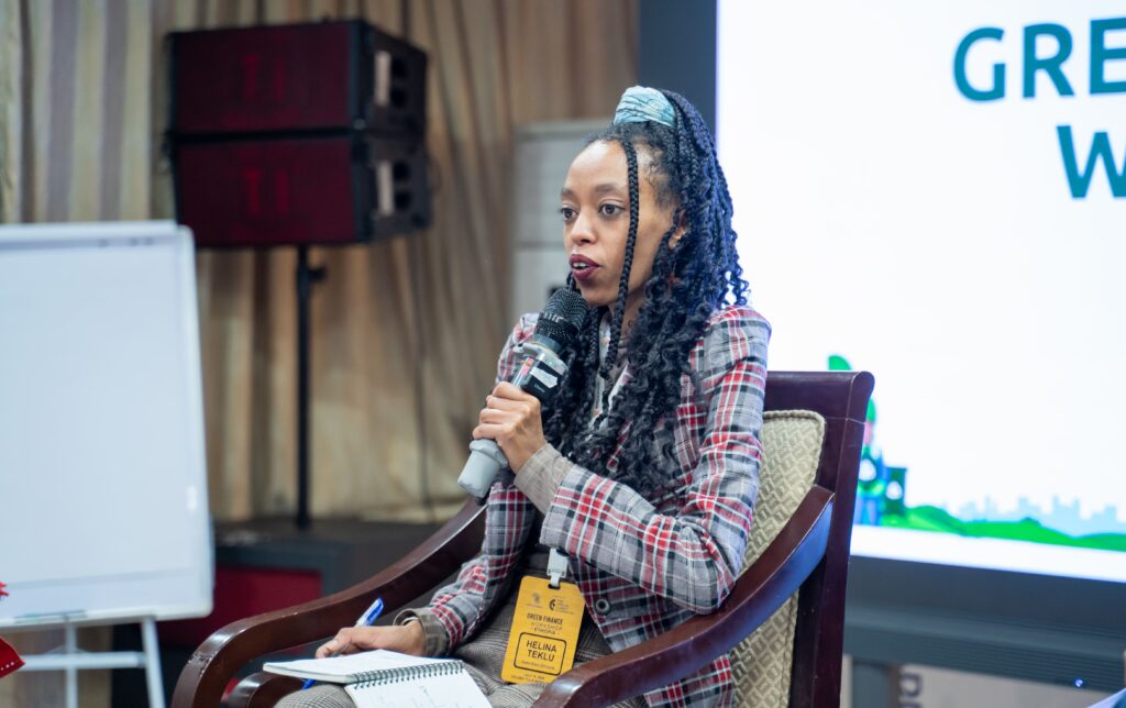 IMAGE: Helina Teklu, Founder of Seed Balls Ethiopia, sharing her perspective during the panel discussion at the Green Finance Workshop in Addis Ababa.