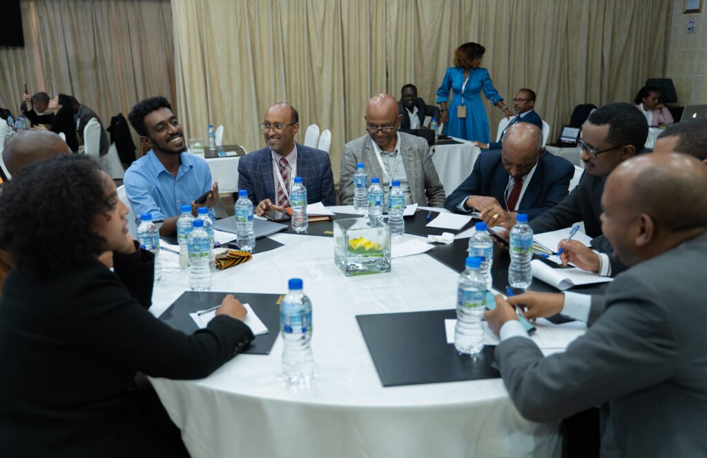 IMAGE: A cross-section of participants at the Green Finance Workshop held in Addis Ababa.