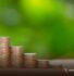 ACCPA_Article_Africa's Green Taxonomies compatibility with MSMEs (3)